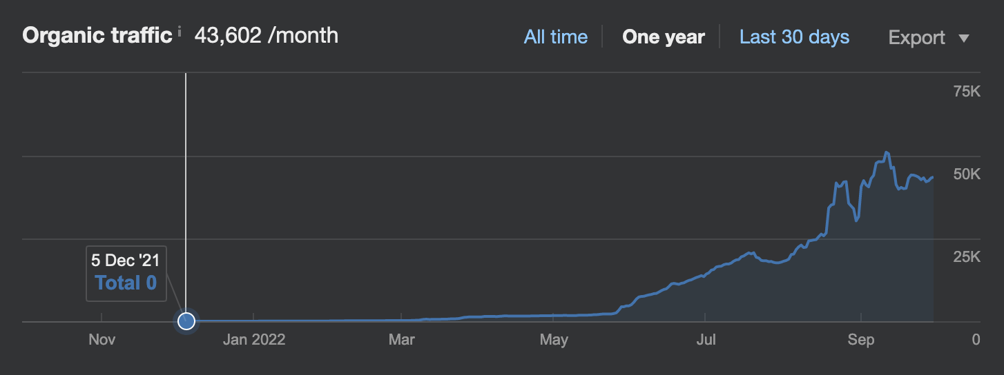 plastic surgery SEO case study